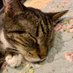 Katherine Smith (@katherines34815) Twitter profile photo Katherine Smith (@katherines34815) Twitter profile photo