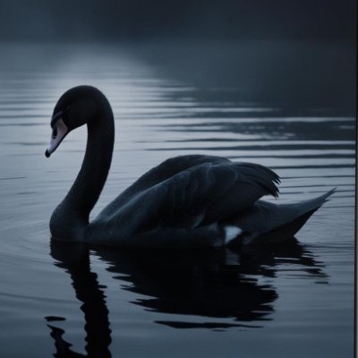 Arriano_CL's profile picture. proste inwestycje - bez schematów 🌔