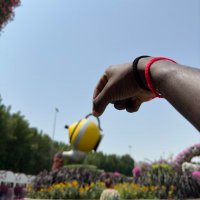 Fii (@real_fii12) 's Twitter Profile