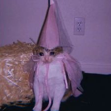twitter user @fairlyindigo but ✨freaky✨ 18+ please!! sometimes NSFW. also venting idk