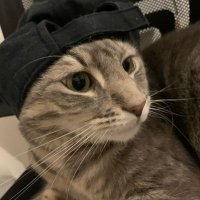tursu (@thisuserababe) Twitter profile photo