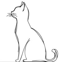 wasserfrau66 (@wasserfrau66) 's Twitter Profile Photo wasserfrau66 (@wasserfrau66) 's Twitter Profile Photo