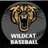Trumann Wildcat Baseball