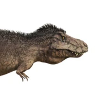 ImsitIhyu's profile picture. honk honk honk honk!!
Frenzy Freak Fantasy:  https://t.co/wm9ejCtRvQ