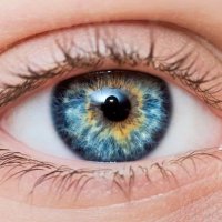 eye (@eye_onme) 's Twitter Profile Photo eye (@eye_onme) 's Twitter Profile Photo