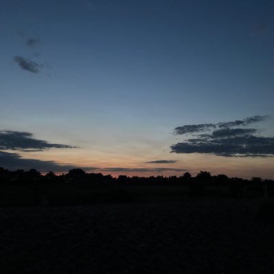 iswhatiamsaying's profile picture. 