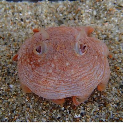 eSqY98CBNc37091's profile picture. 