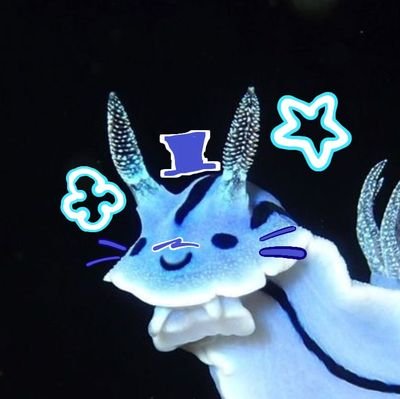 salami690's profile picture. young artist!

undertale/vocaloid,cookierunkingdom fan!!

gringe culture/poshipers DNI

lmao idk what to post