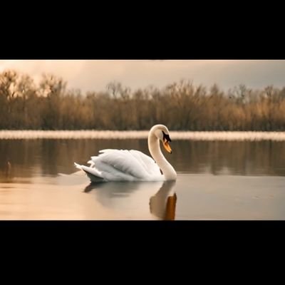 iogunyemi1's profile picture. D4YFX8MW