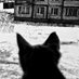 Alicea (@sketchyflakes) Twitter profile photo Alicea (@sketchyflakes) Twitter profile photo