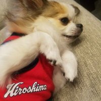 ハチ🎏 (@kkkkkkk0703) 's Twitter Profile Photo ハチ🎏 (@kkkkkkk0703) 's Twitter Profile Photo