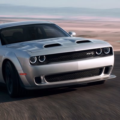 PetrolPride's profile picture. Fighting the government forcing us to buy and drive electric cars (aka overpriced golf carts that are actually worse for the environment)