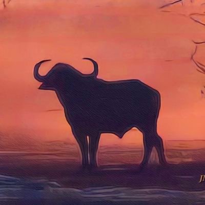 Small gunsmithing shop that is always looking for interesting projects.