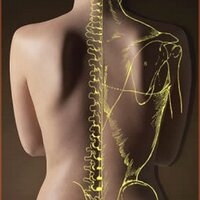 Rebecca Miles (@rmchiropractic) 's Twitter Profile