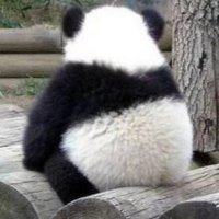 CGXTD (@caogenxiaotudou) 's Twitter Profile