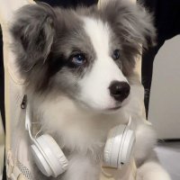 ✧ Kraig ✧ (@knottykraig) 's Twitter Profile