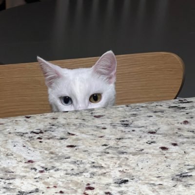 marknrichter's profile picture. 