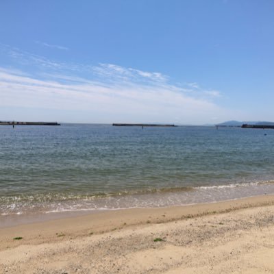 知的障害・自閉症・支援学校に通う子の母。知りたいのに時々ぐるぐる思考。すべての根底は人権。世界は狭くて広い。