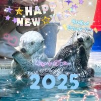 のんびりラッコちゃん(・(ᴥ)・)♡@鳥羽水族館に住みたい (@water_1218) 's Twitter Profile Photo のんびりラッコちゃん(・(ᴥ)・)♡@鳥羽水族館に住みたい (@water_1218) 's Twitter Profile Photo