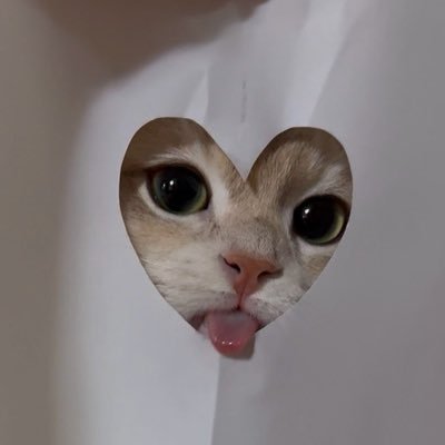 Denirosia's profile picture. GEGE HATE ACCOUNT | Passionnée d'histoire et de mythologie 🧜‍♀️