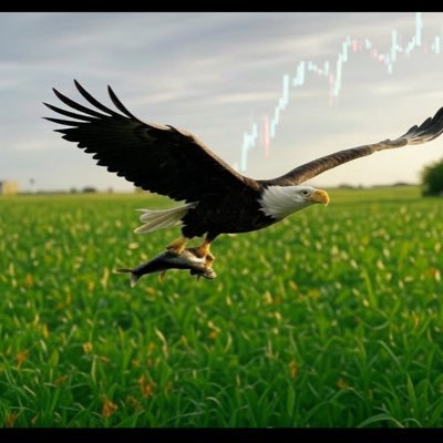 🧑🌾, Professionally Agrologist(https://t.co/hNnwdmuyEG), Trader.