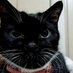 ãããããã (@dqvcxhwtvk36303) Twitter profile photo ãããããã (@dqvcxhwtvk36303) Twitter profile photo