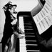 Thomas Carpeggiani (@privatesektor68) Twitter profile photo Thomas Carpeggiani (@privatesektor68) Twitter profile photo