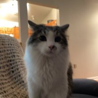 Trev (@trevor_sulser) Twitter profile photo