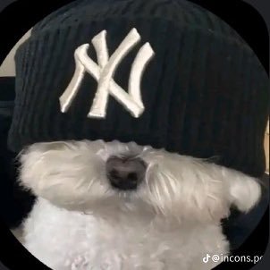AnthonyGamer83's profile picture. Hi guys welcome