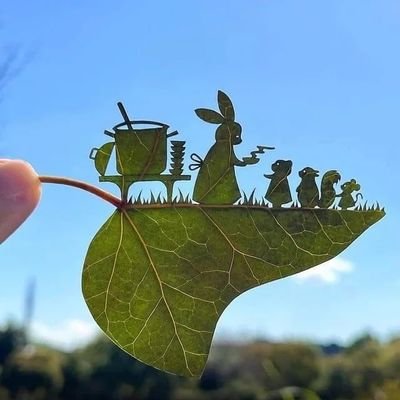 Prisdingo's profile picture. 