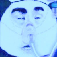 walnut (@walnutt_c) 's Twitter Profile