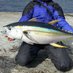 みは (@masamunefishing) Twitter profile photo みは (@masamunefishing) Twitter profile photo