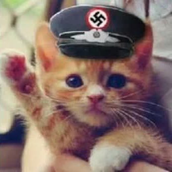 GoyNews1's profile picture. 