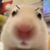 구뾰 (@9byobyo) Twitter profile photo 구뾰 (@9byobyo) Twitter profile photo