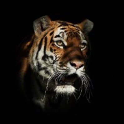 renlllllllll's profile picture. Therefore, in emptiness there is no form, feeling,cognition, formation, or consciousness;