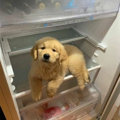 Eggyweggyeg's profile picture. I’m a goober in a silly goober world