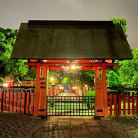 こだま🤡🍾✴︎ .。 (@t5668736) 's Twitter Profile