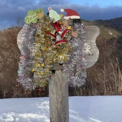 t1wa_porn's profile picture. 