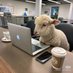 Crypto_合約交易信號📶 (@crypto_leaderon) Twitter profile photo Crypto_合約交易信號📶 (@crypto_leaderon) Twitter profile photo