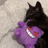 KADENOX (@kadenox) 's Twitter Profile