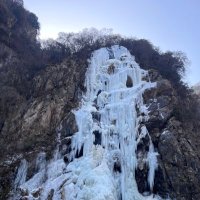 qzh666 (@qzh_zzy) 's Twitter Profile