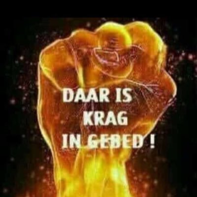 ex_flight's profile picture. Divinely Guided