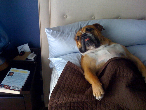 zoosnack's profile picture. https://t.co/ospqbFVPne