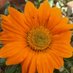 RAJESH (@rajkr1975) Twitter profile photo RAJESH (@rajkr1975) Twitter profile photo