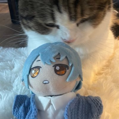 ◈いこ◈さんのプロフィール画像