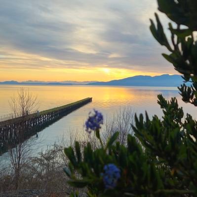 brinycoffee's profile picture. Stuff I like. Most posts aren't mine.