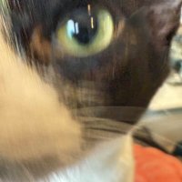 Lord_Aether (@lordaether69) 's Twitter Profile Photo Lord_Aether (@lordaether69) 's Twitter Profile Photo