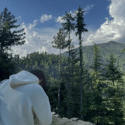 harshit_9105's profile picture. 🎓 CSE BTech undergrad | Learning Web Development & DSA 🧮 | #LearnInPublic
