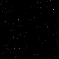 Nikkolai wagstaffe (@nikkolaiwagsta2) 's Twitter Profile Photo