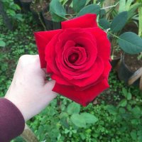 بنت بيشة اطلع سهرات مع الجادين (@byshtm65187) Twitter profile photo